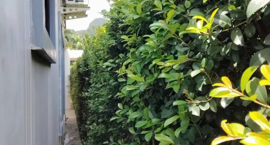 For sale 3 bedrooms house in Mueang Krabi, Krabi