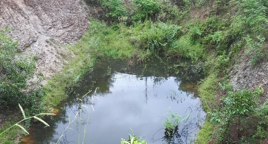 For sale land in San Pa Tong, Chiang Mai