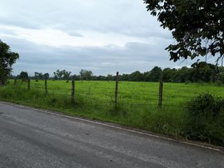 ขาย ที่ดิน ใน สันป่าตอง, เชียงใหม่