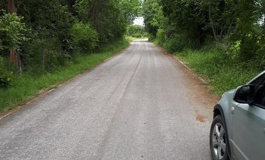 For sale land in San Pa Tong, Chiang Mai