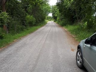 ขาย ที่ดิน ใน สันป่าตอง, เชียงใหม่