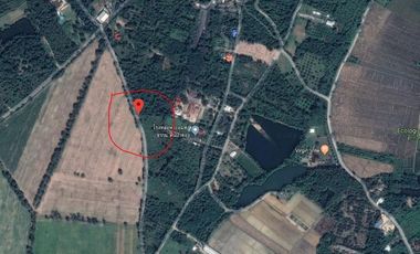 For sale land in San Pa Tong, Chiang Mai