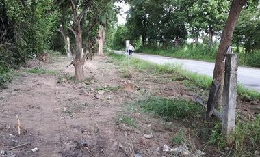 For sale land in San Pa Tong, Chiang Mai