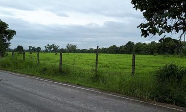 For sale land in San Pa Tong, Chiang Mai