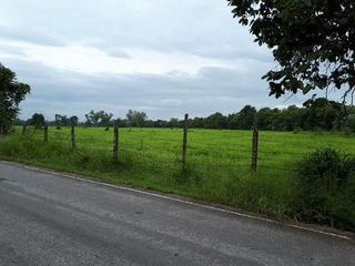 ขาย ที่ดิน ใน สันป่าตอง, เชียงใหม่