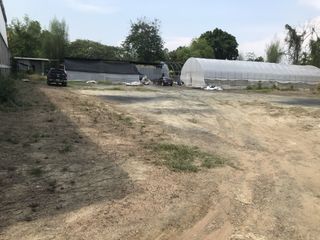 ขาย ที่ดิน ใน หางดง, เชียงใหม่