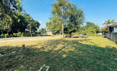 For sale land in Mae Rim, Chiang Mai