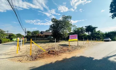For sale land in Mae Rim, Chiang Mai