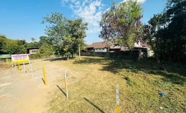 For sale land in Mae Rim, Chiang Mai