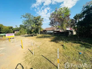 For sale land in Mae Rim, Chiang Mai