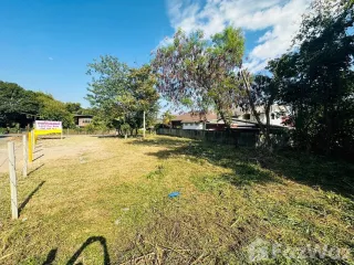 For sale land in Mae Rim, Chiang Mai