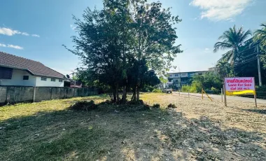 For sale land in Mae Rim, Chiang Mai