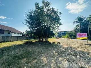 For sale land in Mae Rim, Chiang Mai