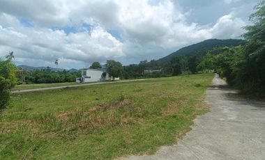 ขาย ที่ดิน ใน เกาะสมุย, สุราษฎร์ธานี
