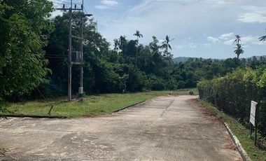 ขาย ที่ดิน ใน เกาะสมุย, สุราษฎร์ธานี