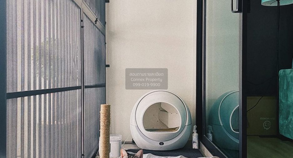 ขาย 4 ห้องนอน บ้านเดี่ยว ใน บางกะปิ, กรุงเทพฯ