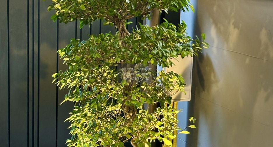 For sale 3 bedrooms house in Chom Thong, Bangkok
