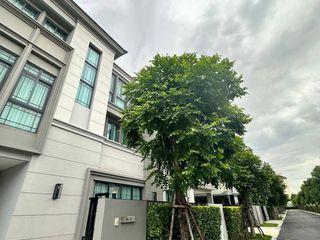 ให้เช่า 4 ห้องนอน คอนโด ใน ประเวศ, กรุงเทพฯ
