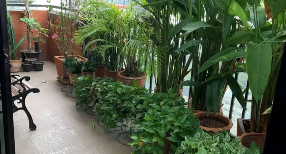 For rent 3 bedrooms condo in Watthana, Bangkok