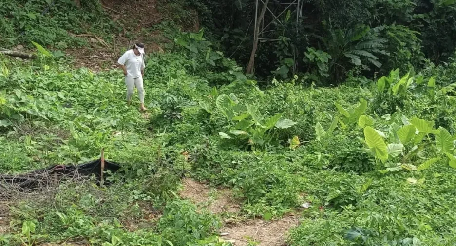 Grundstück zum Kauf in Thalang, Phuket