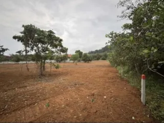 Grundstück zum Kauf in Thalang, Phuket