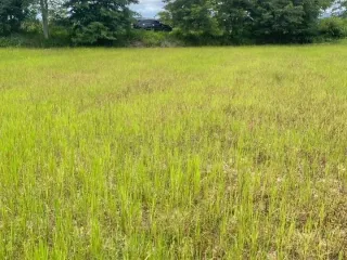 À vendre terrain à Mueang Lampang, Lampang