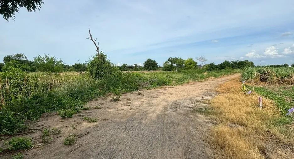 For sale land in Kamphaeng Saen, Nakhon Pathom