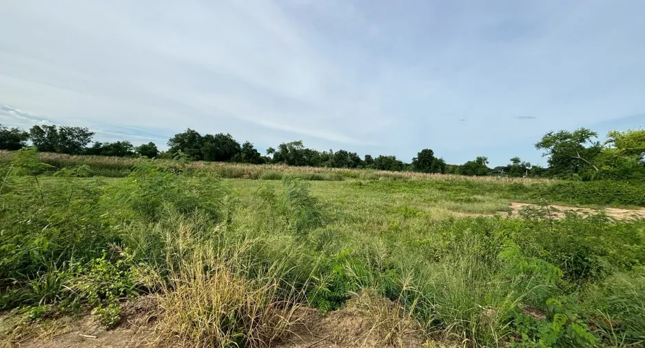 For sale land in Kamphaeng Saen, Nakhon Pathom