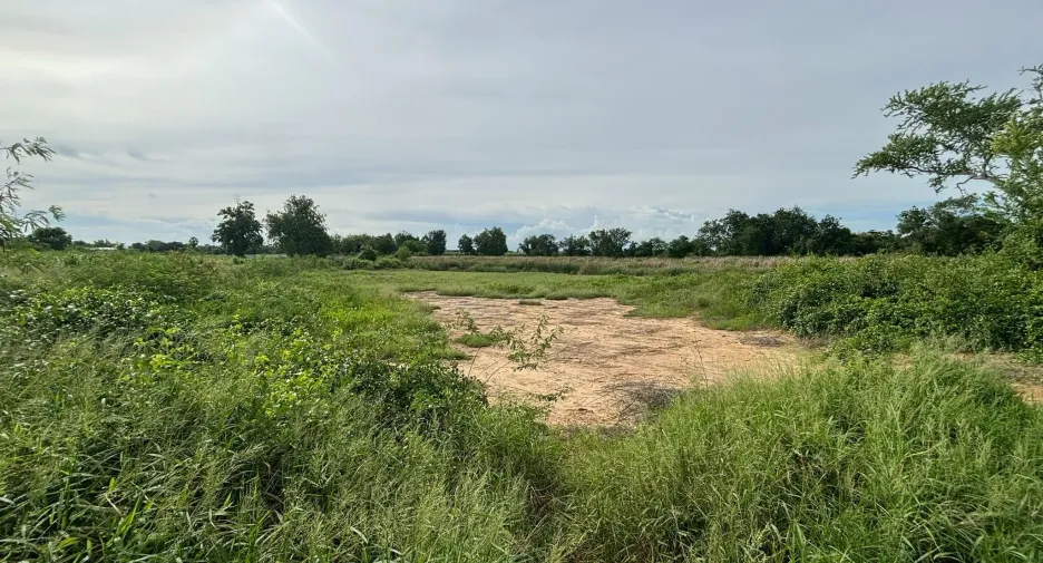 For sale land in Kamphaeng Saen, Nakhon Pathom