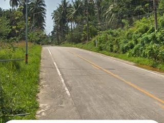 For sale 3 ベッドルーム villa in Ko Pha-ngan, Surat Thani