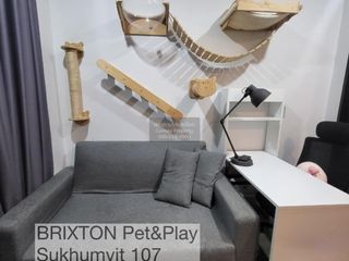 For rent 1 bed condo in Mueang Samut Prakan, Samut Prakan