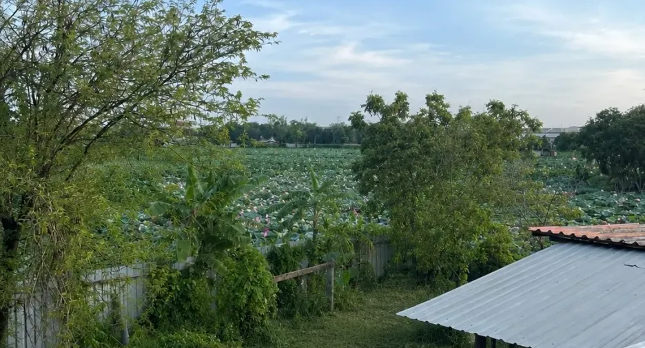 For sale 2 bedrooms house in Bang Yai, Nonthaburi