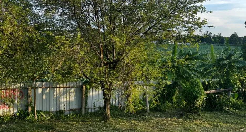For sale 2 bedrooms house in Bang Yai, Nonthaburi