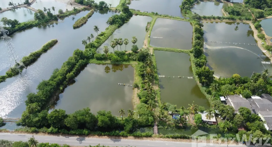 ขาย ที่ดิน ใน นครชัยศรี, นครปฐม