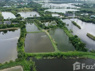 ขาย ที่ดิน ใน นครชัยศรี, นครปฐม