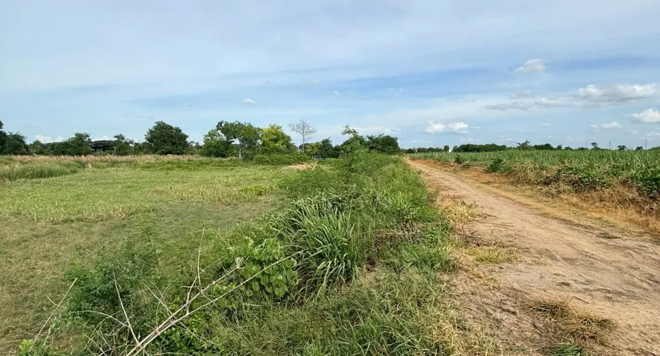 ขาย ที่ดิน ใน กำแพงแสน, นครปฐม