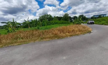 出售 土地 在 Thawi Watthana, 曼谷
