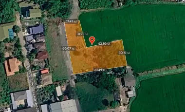 出售 土地 在 Thawi Watthana, 曼谷