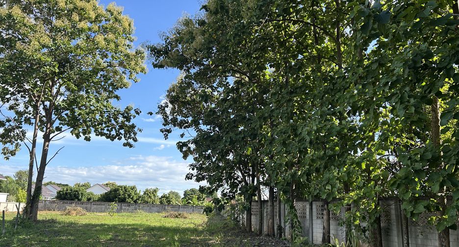 Terreno en venta en Mueang Chiang Mai, Chiang Mai