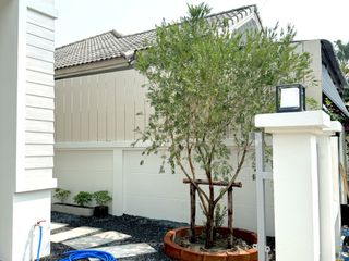 出租 3 卧室 独立屋 在 Mueang Chiang Mai, Chiang Mai