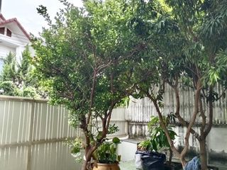 ให้เช่า 3 ห้องนอน บ้านเดี่ยว ใน เมืองเชียงใหม่, เชียงใหม่