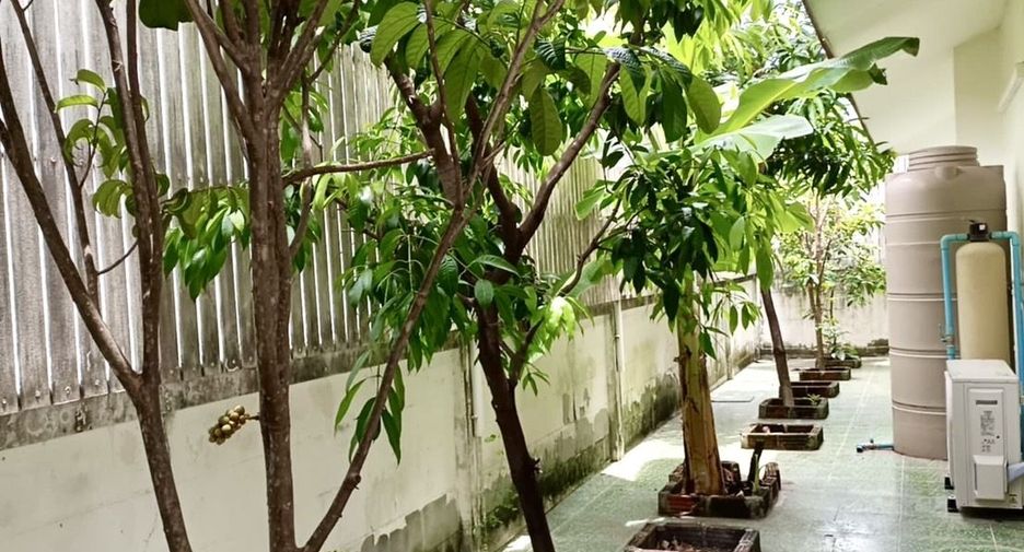 Аренда 3 спальни дом в Mueang Chiang Mai, Чианг Маи
