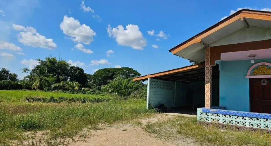 For sale land in Phrao, Chiang Mai