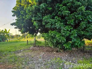 For sale land in Phrao, Chiang Mai