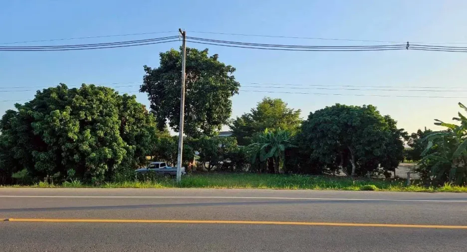 For sale land in Phrao, Chiang Mai