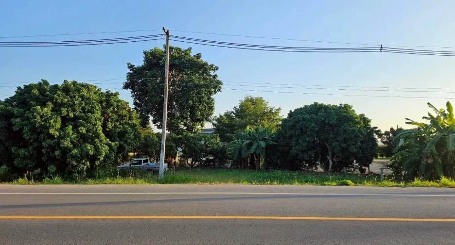 For sale land in Phrao, Chiang Mai