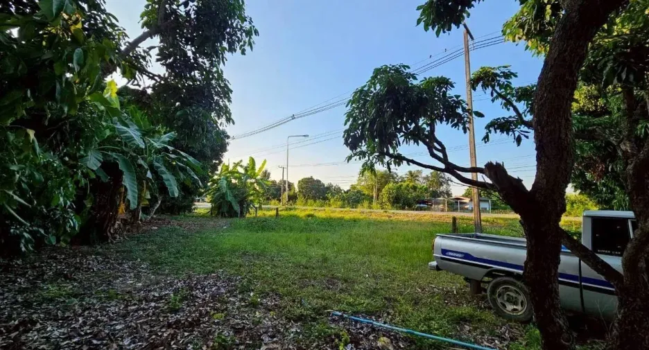 For sale land in Phrao, Chiang Mai