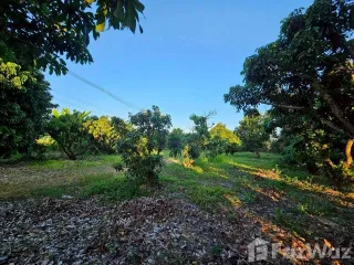 For sale land in Phrao, Chiang Mai