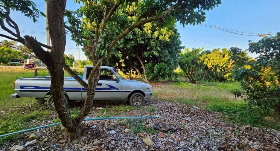 For sale land in Phrao, Chiang Mai