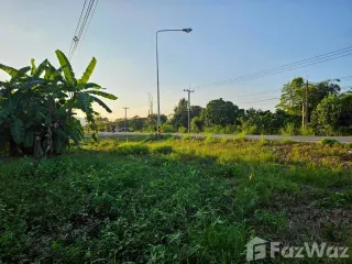 For sale land in Phrao, Chiang Mai